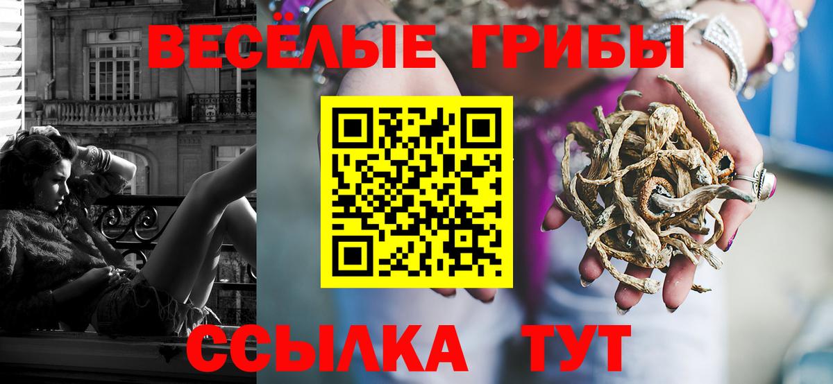 Псилоцибиновые грибы ЛСД Свободный