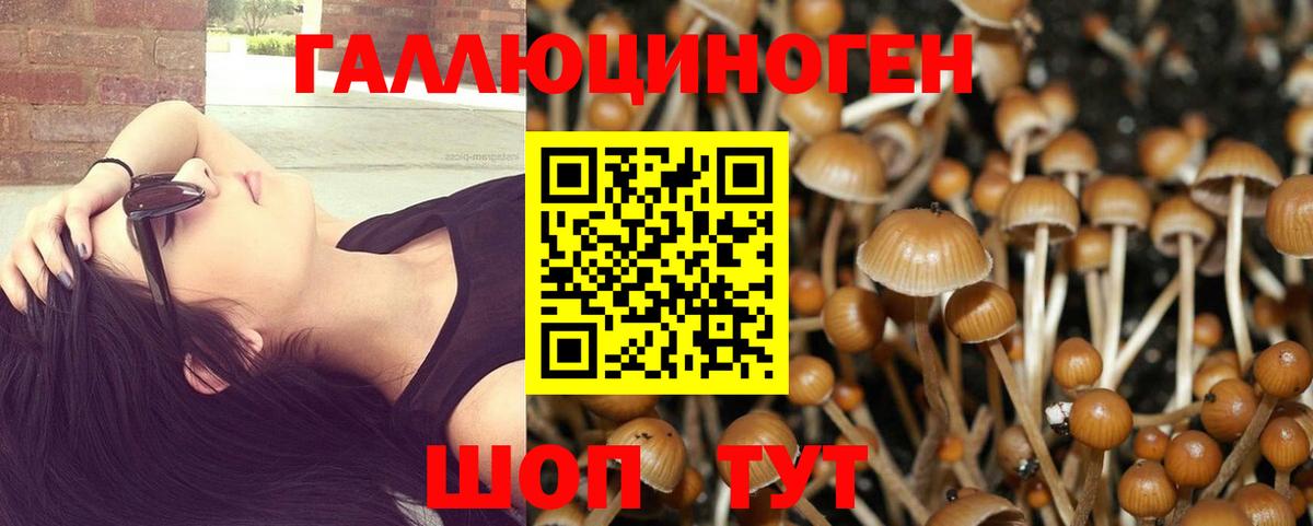 Псилоцибиновые грибы Magic Shrooms  Псилоцибиновые грибы GOLDEN TEACHER  Вход с VPN  магазин  наркотиков  Свободный 